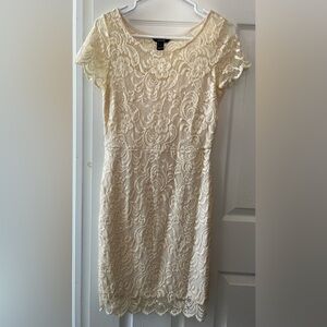 Elegant Cream Lace Dress